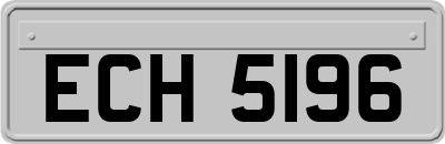 ECH5196