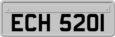 ECH5201