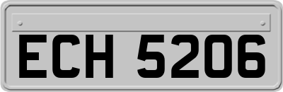 ECH5206