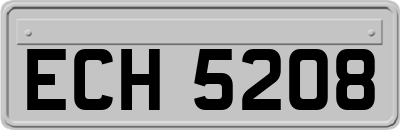 ECH5208