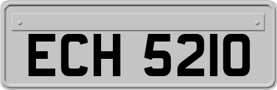 ECH5210