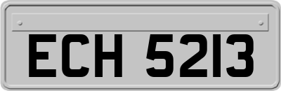 ECH5213