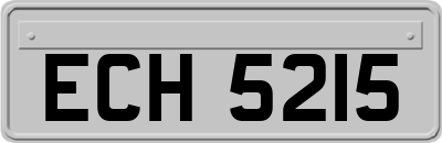 ECH5215