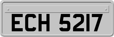 ECH5217