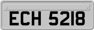 ECH5218