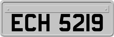 ECH5219