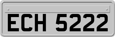 ECH5222