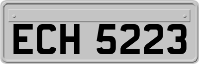 ECH5223