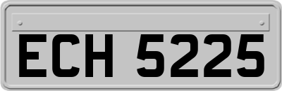 ECH5225