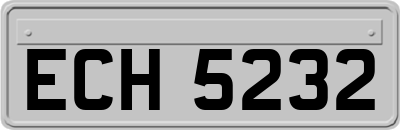 ECH5232