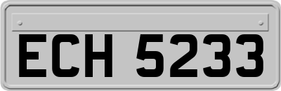 ECH5233