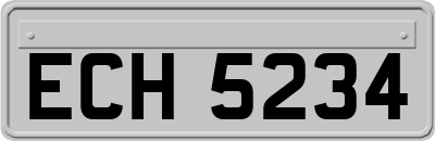 ECH5234