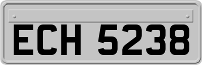 ECH5238