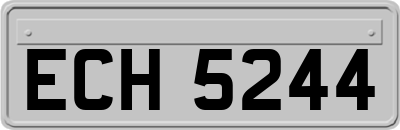 ECH5244