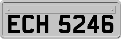 ECH5246