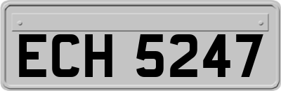 ECH5247