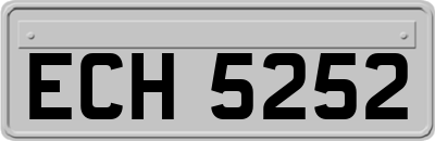 ECH5252