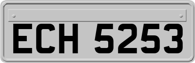 ECH5253
