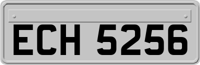 ECH5256