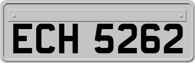 ECH5262