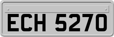 ECH5270