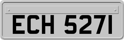 ECH5271