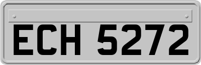 ECH5272
