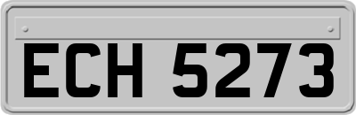 ECH5273