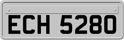 ECH5280