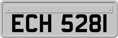 ECH5281