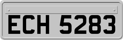 ECH5283