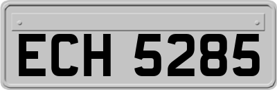 ECH5285