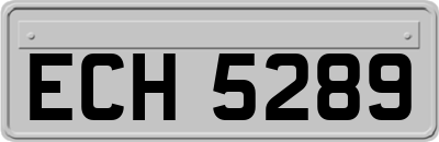 ECH5289