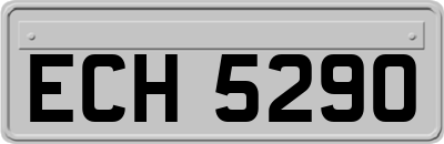 ECH5290