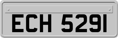 ECH5291