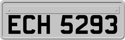 ECH5293