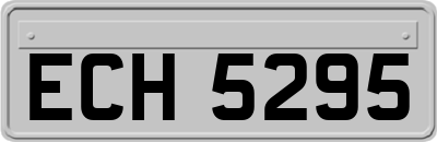 ECH5295
