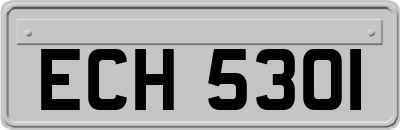 ECH5301