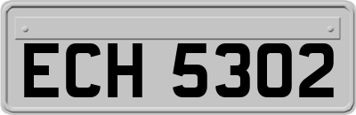 ECH5302
