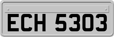 ECH5303