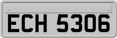 ECH5306