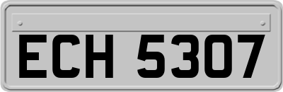 ECH5307