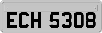 ECH5308
