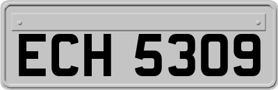 ECH5309