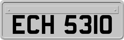 ECH5310