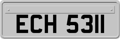 ECH5311