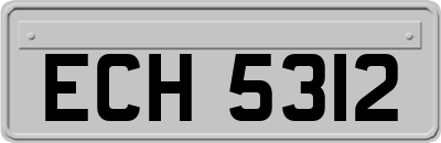 ECH5312