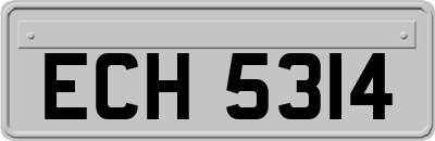 ECH5314