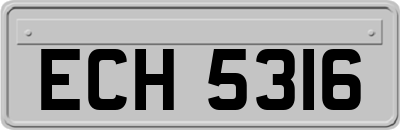 ECH5316
