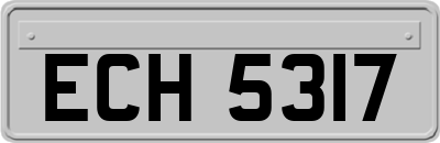 ECH5317
